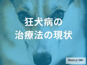 狂犬病の治療法の現状