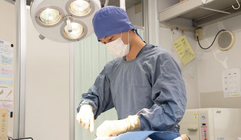 ドラセナ動物病院photo