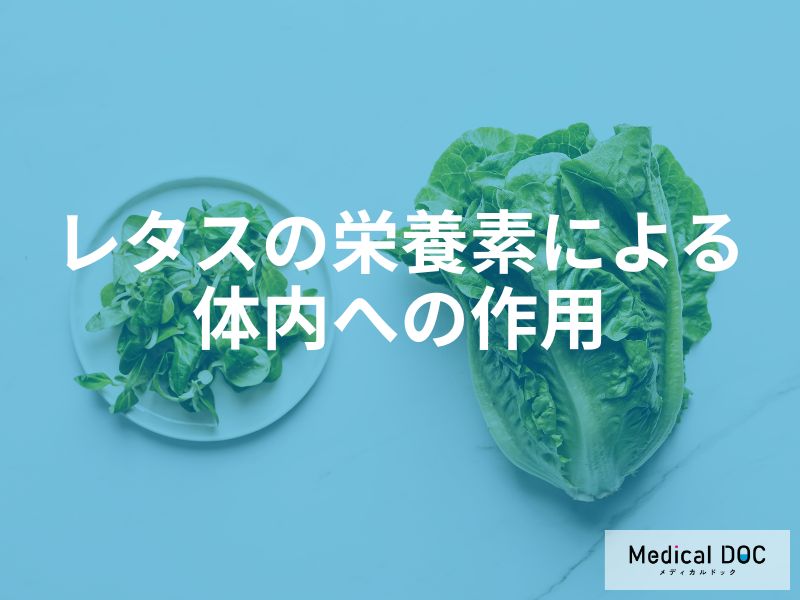 特定の栄養素による体内への作用