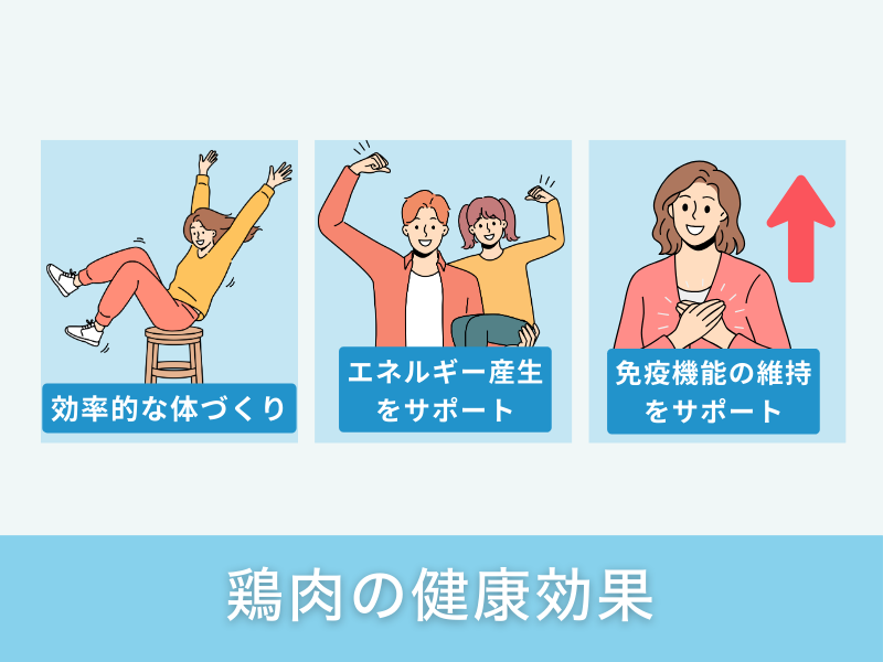 鶏肉の健康効果
