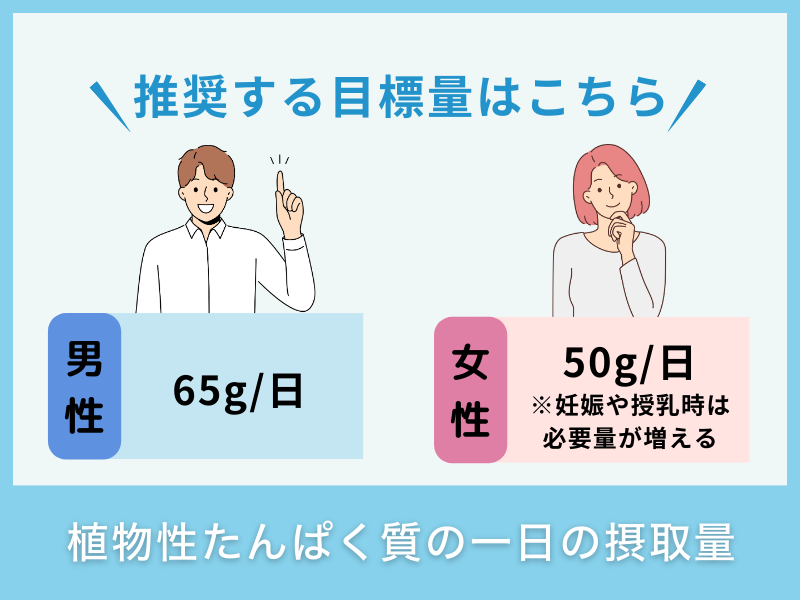 植物性たんぱく質の一日の摂取量