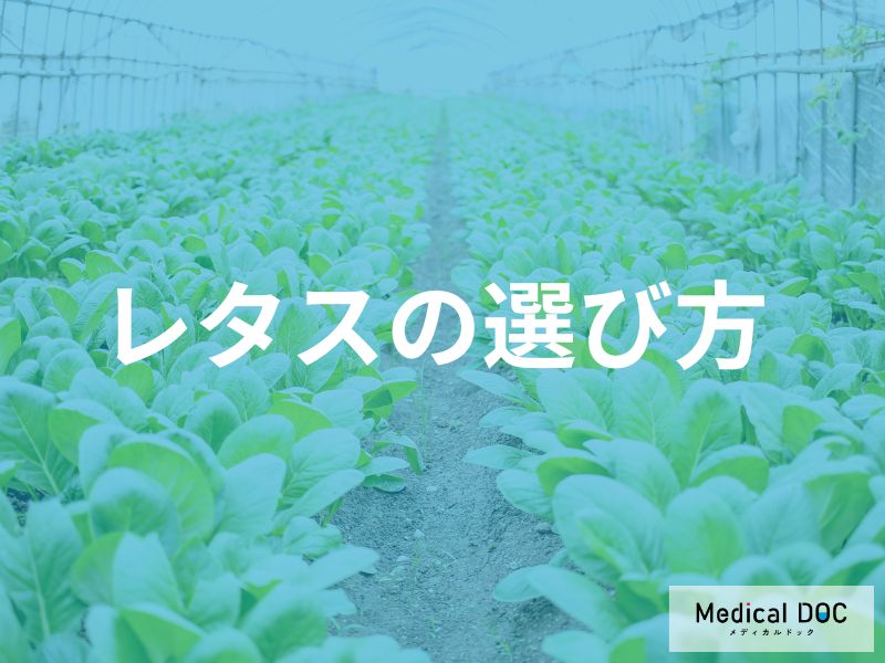 鮮度の見分け方と購入時の選び方