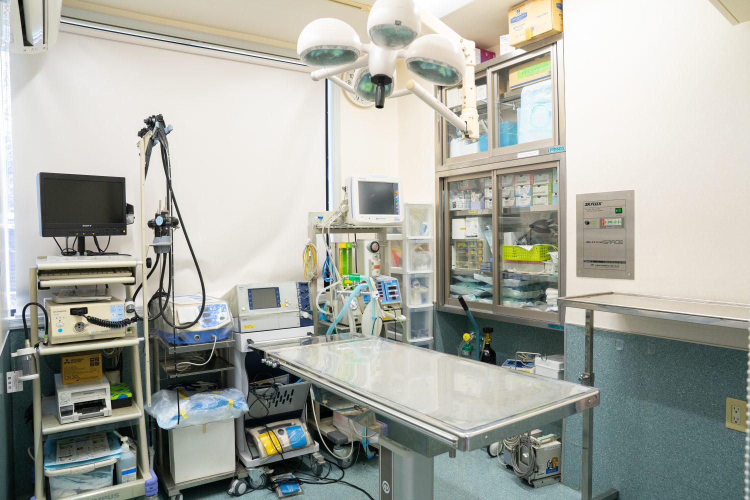 つつじヶ丘動物病院photo