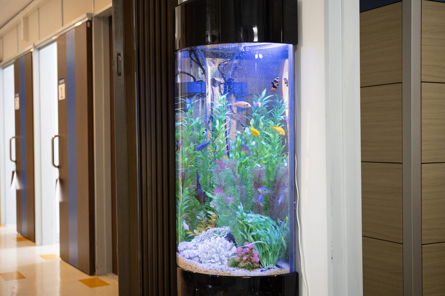 善行団地石川医院photo