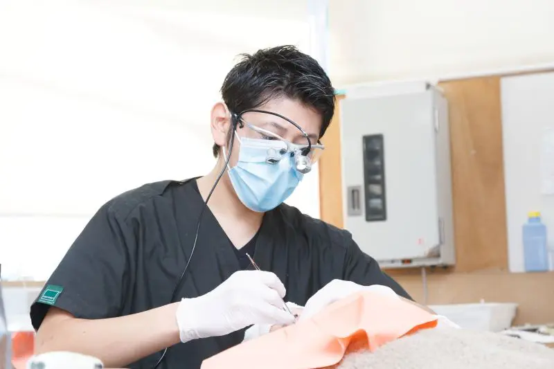 医療法人社団純心会うしかい歯科クリニック