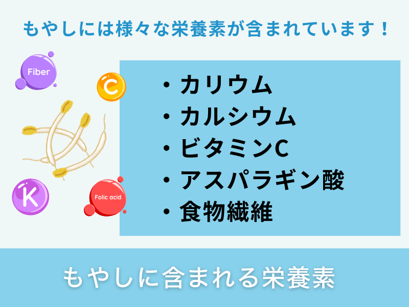 もやしに含まれる栄養素