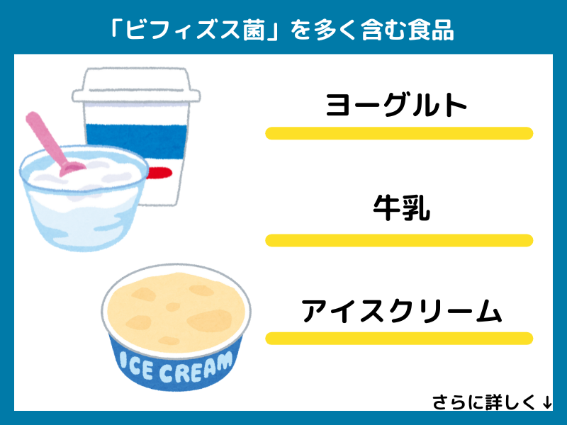 ビフィズス菌を多く含む食品