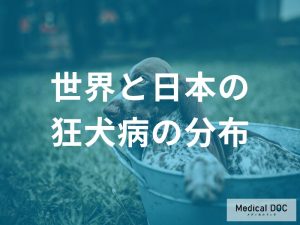 世界と日本における狂犬病の分布