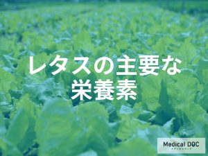 レタスに含まれる主要な栄養素