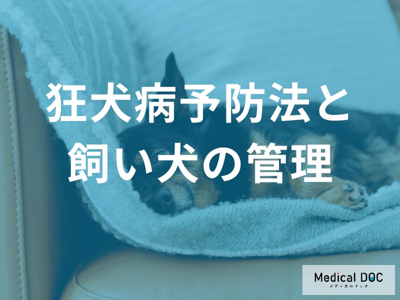 狂犬病予防法と飼い犬の管理