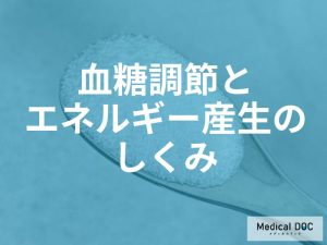 運動後の疲労回復に「ブドウ糖」が効く理由。筋肉のグリコーゲンを補う最適な摂取タイミング