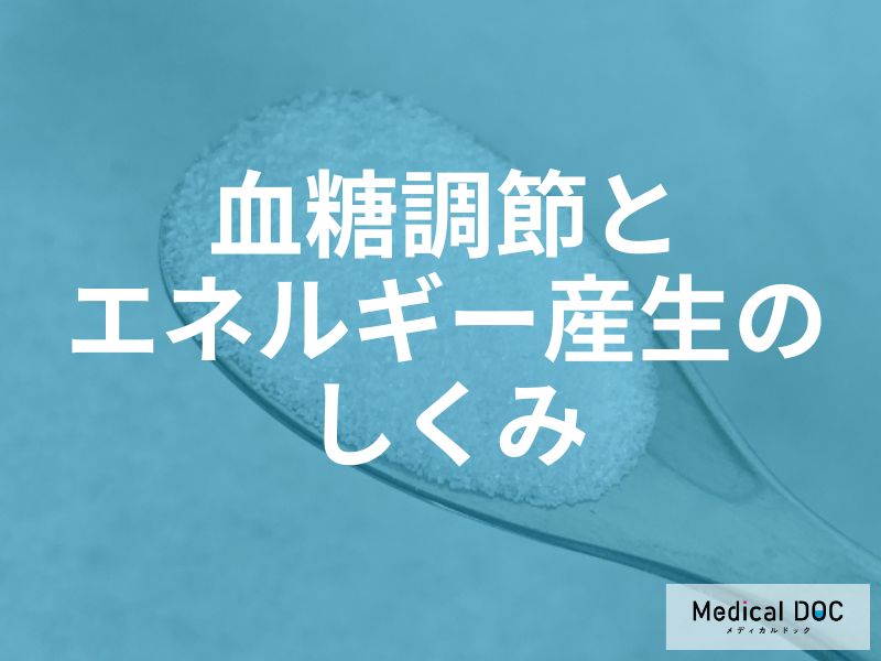 運動後の疲労回復に「ブドウ糖」が効く理由。筋肉のグリコーゲンを補う最適な摂取タイミング