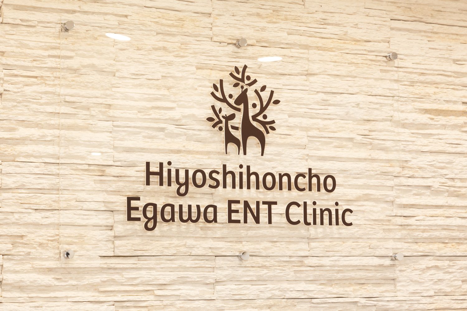 日吉本町 えがわ耳鼻咽喉科photo