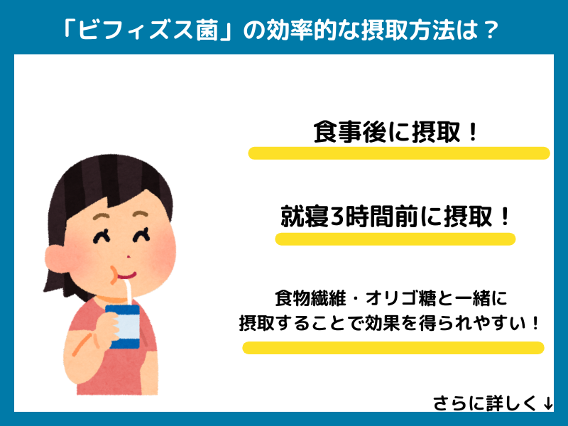 ビフィズス菌の効果的な摂取方法
