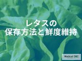 . 野菜室より冷蔵室が正解？約1週間もたせる、レタスの栄養と水分を逃がさない保存の鉄則