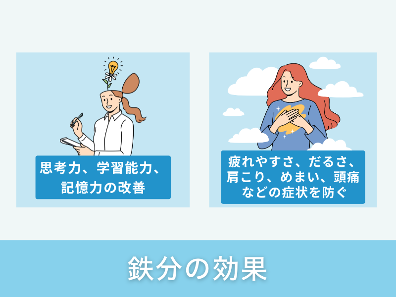鉄分の効果