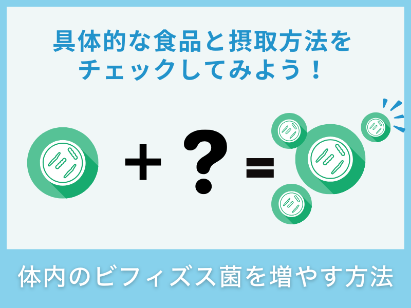 体内のビフィズス菌を増やす方法