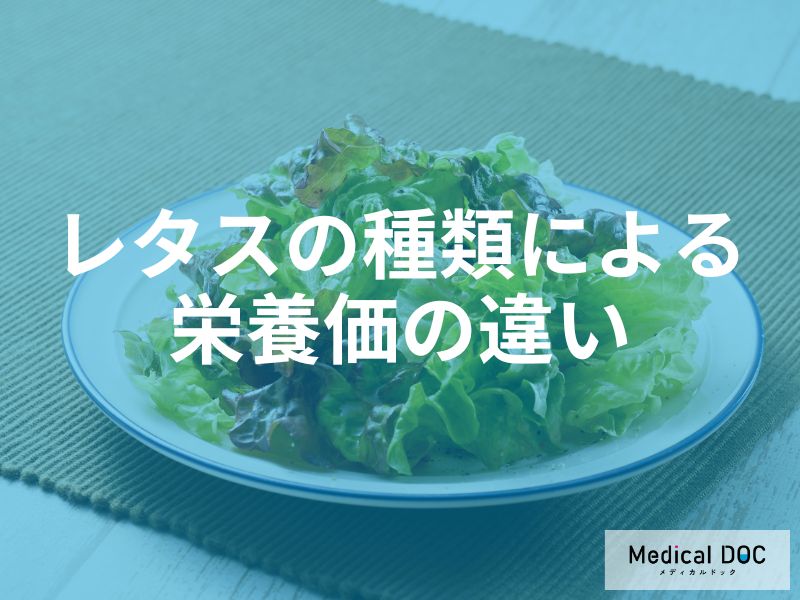 玉レタスの約8倍の栄養も？β-カロテンや葉酸で選ぶ「4大レタス」の賢い食べ分け術