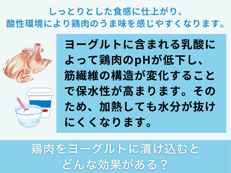 鶏肉をヨーグルトに漬け込むとどんな効果がある?