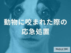 動物に咬まれた際の応急処置