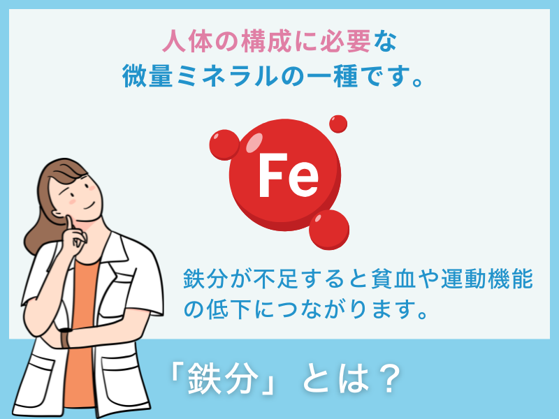 「鉄分」とは？