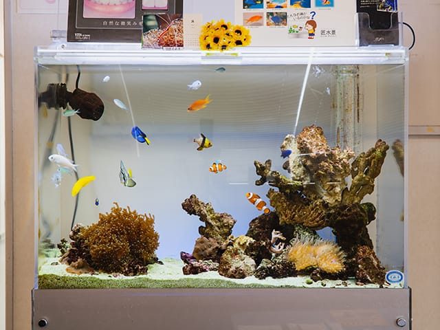 竹内歯科クリニック