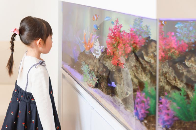 日吉本町 えがわ耳鼻咽喉科photo