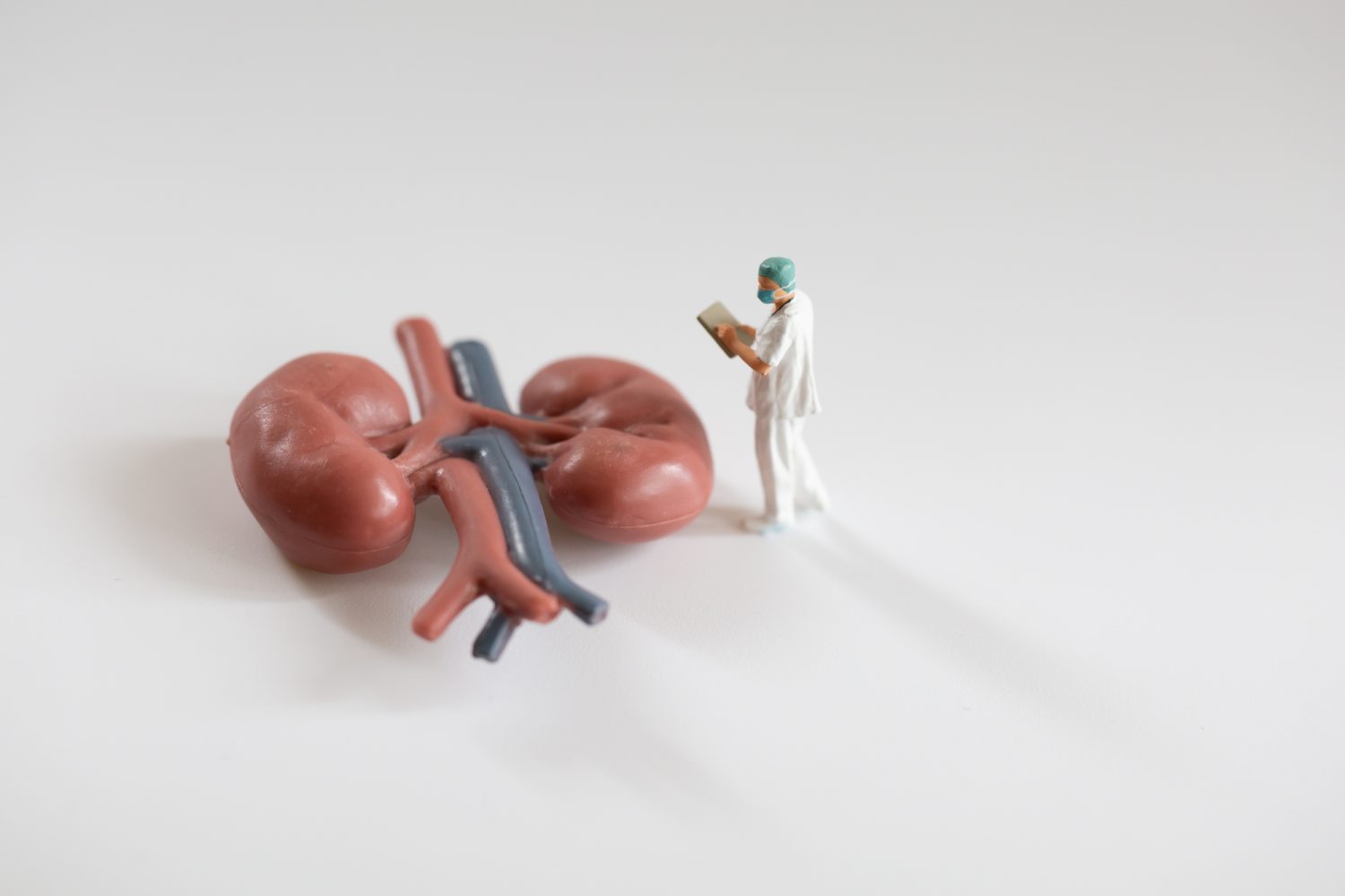 気をつけたい腎臓病にはどのようなものがある？