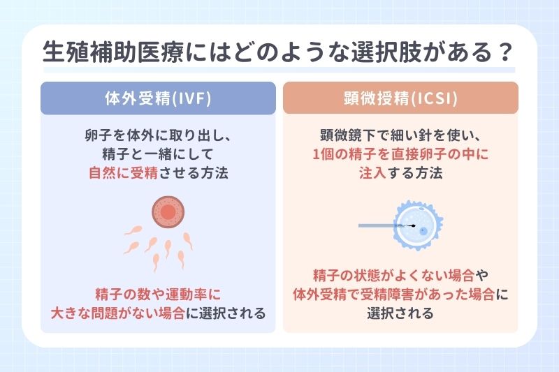 生殖補助医療にはどのような選択肢がある？
