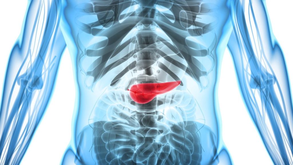 気付かれにくい『膵臓がん』の初期症状！ 見逃せないサインについて専門医が解説