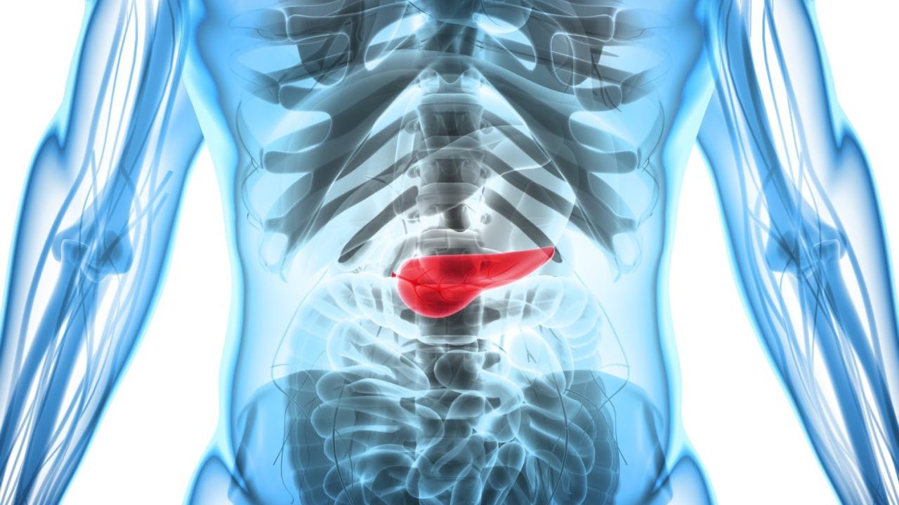 気付かれにくい『膵臓がん』の初期症状！ 見逃せないサインについて専門医が解説