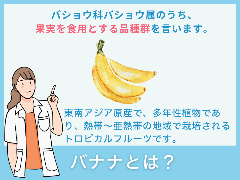バナナとは?