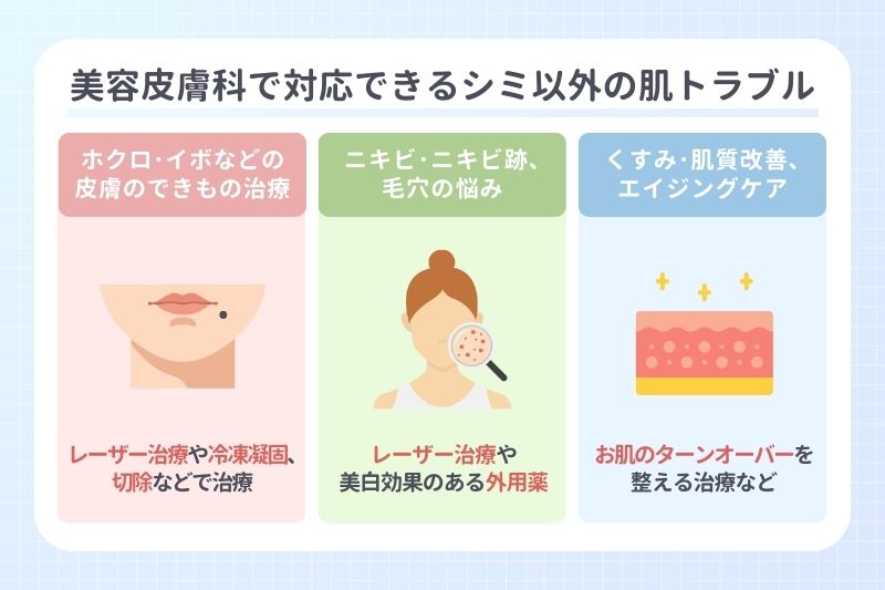 美容皮膚科で対応できるシミ以外の肌トラブル