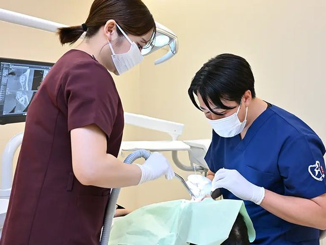 横浜駅西口歯科