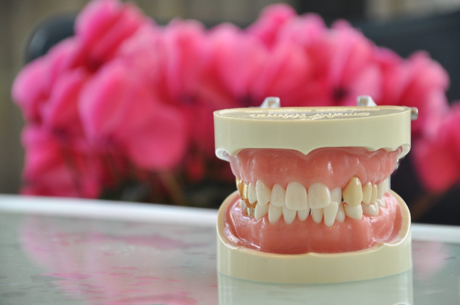 前歯のねじれは部分矯正で治せる？治療期間や費用も併せて解説