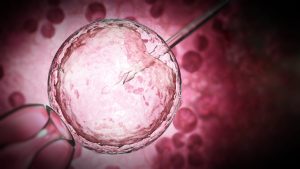 不妊治療の選択肢を広げるために知っておきたい"生殖補助医療"の考え方