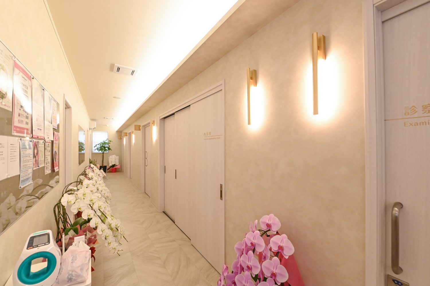 つくばレディースライフクリニックphoto