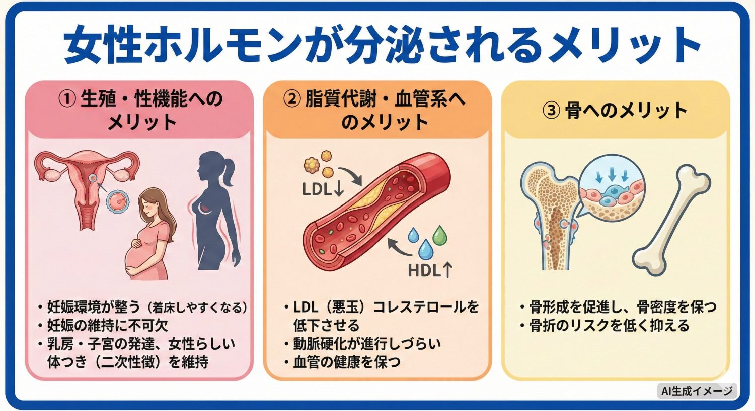 女性の体内で女性ホルモンが分泌されるとどんなメリットがある？