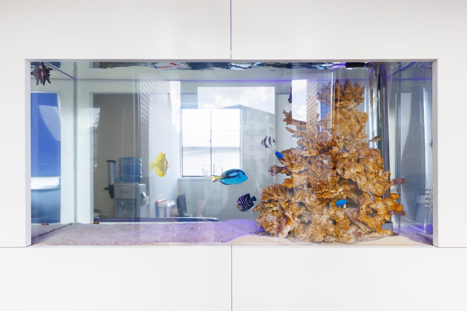 おのだ歯科医院photo