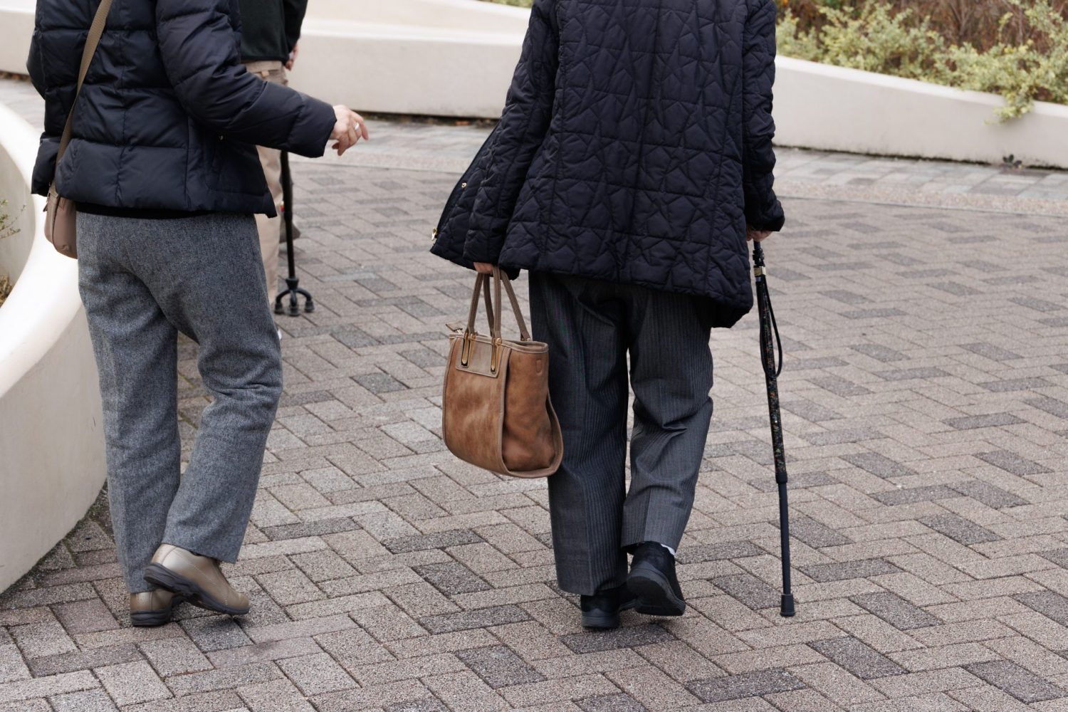 老老介護・認認介護が増えている背景