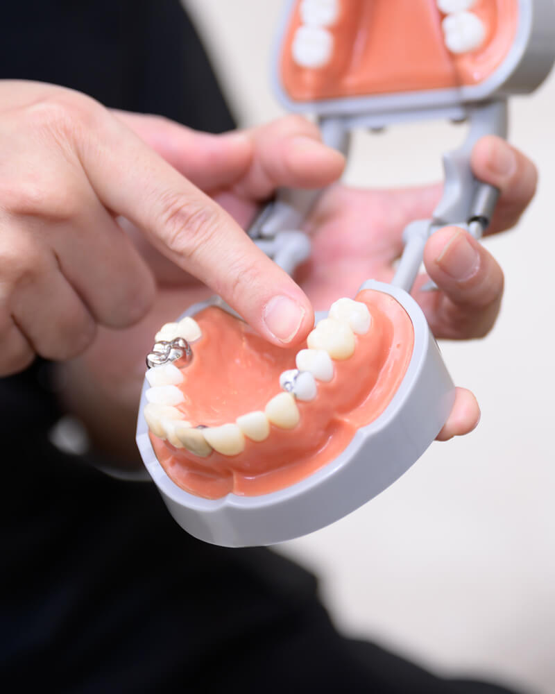 素材のバリエーションは豊富でも、重要なのは保存性の高さ