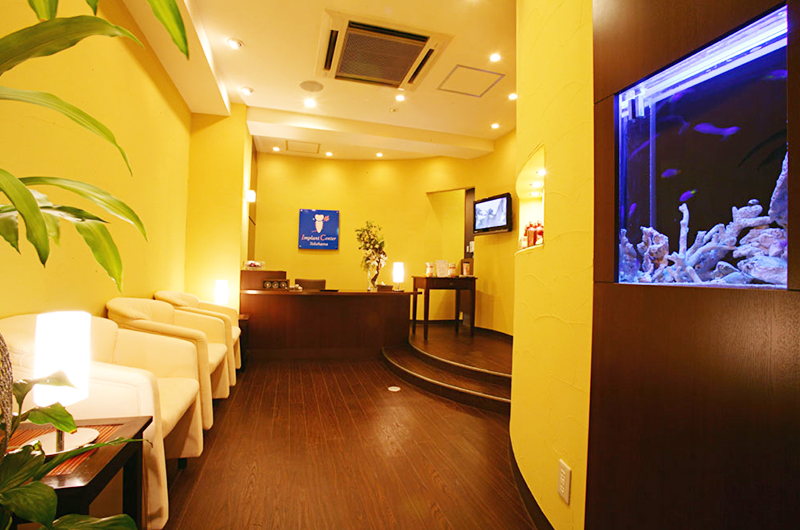 ミズキデンタルオフィスphoto