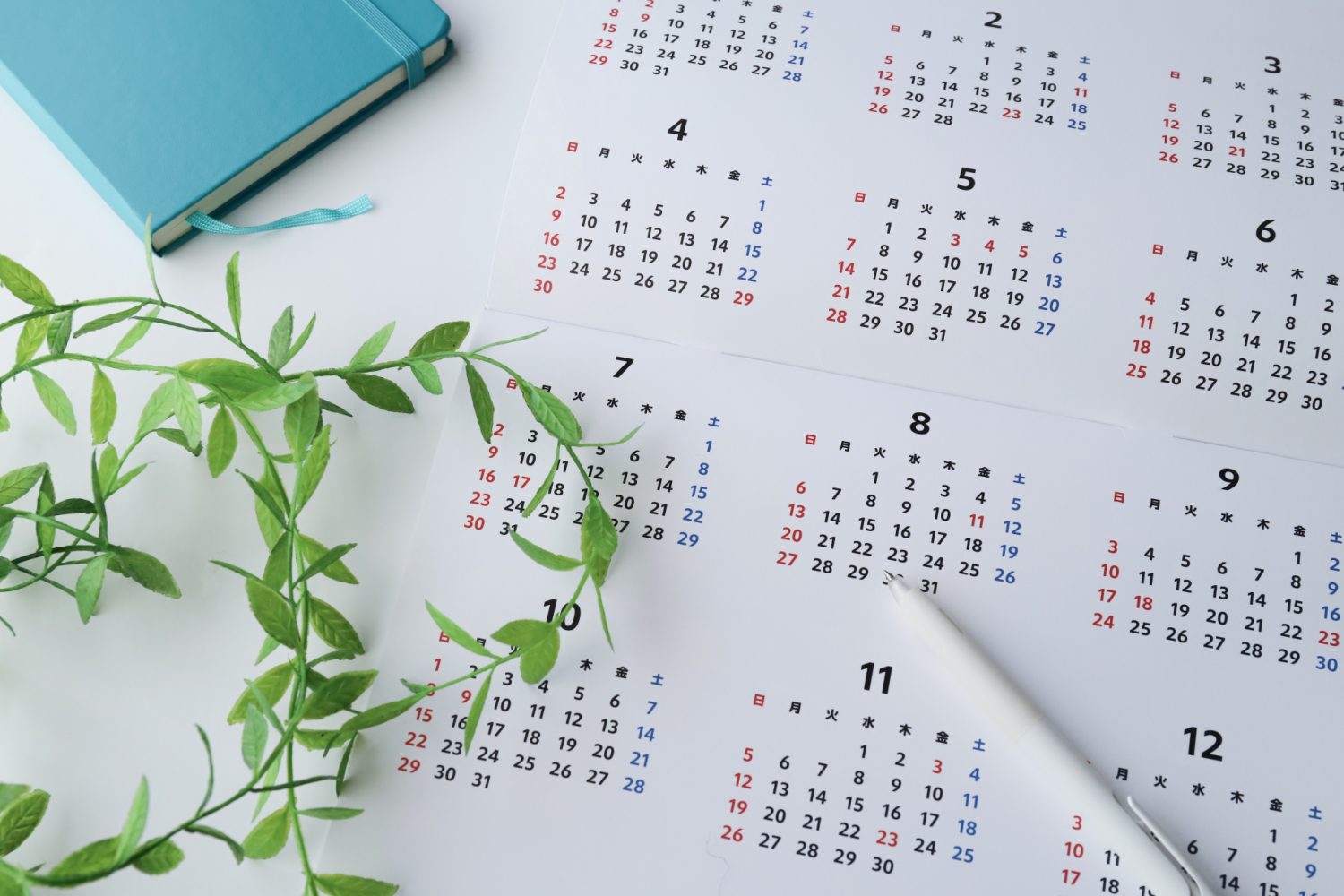 骨再生誘導法の治療期間