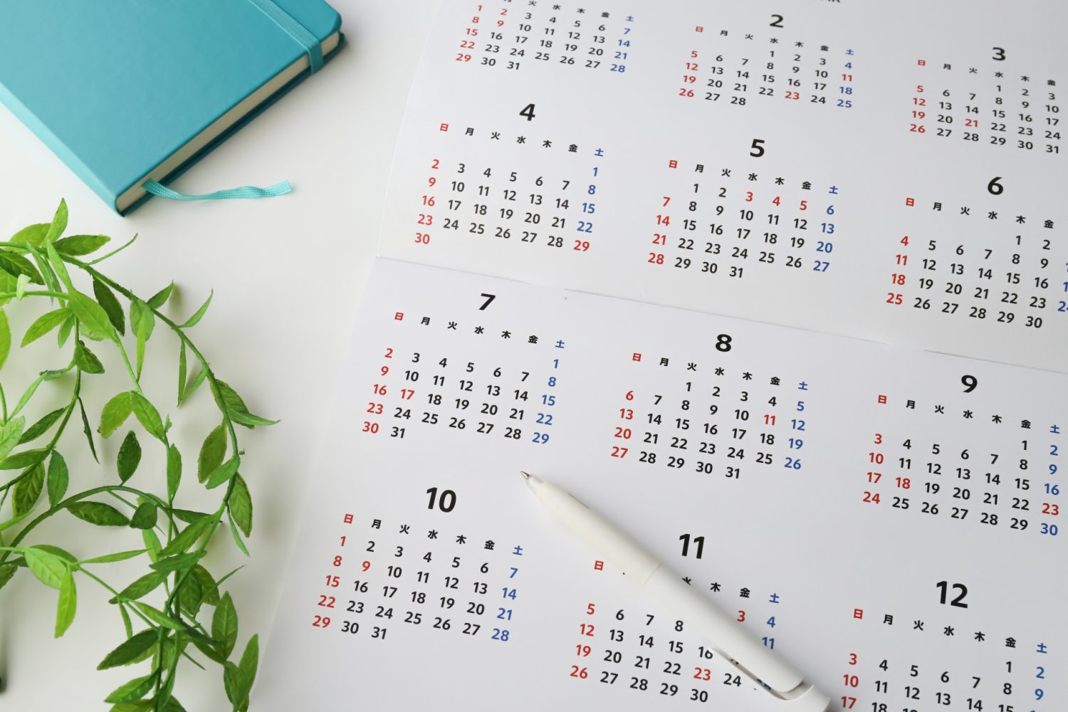 GBR法の治癒経過と通院スケジュール