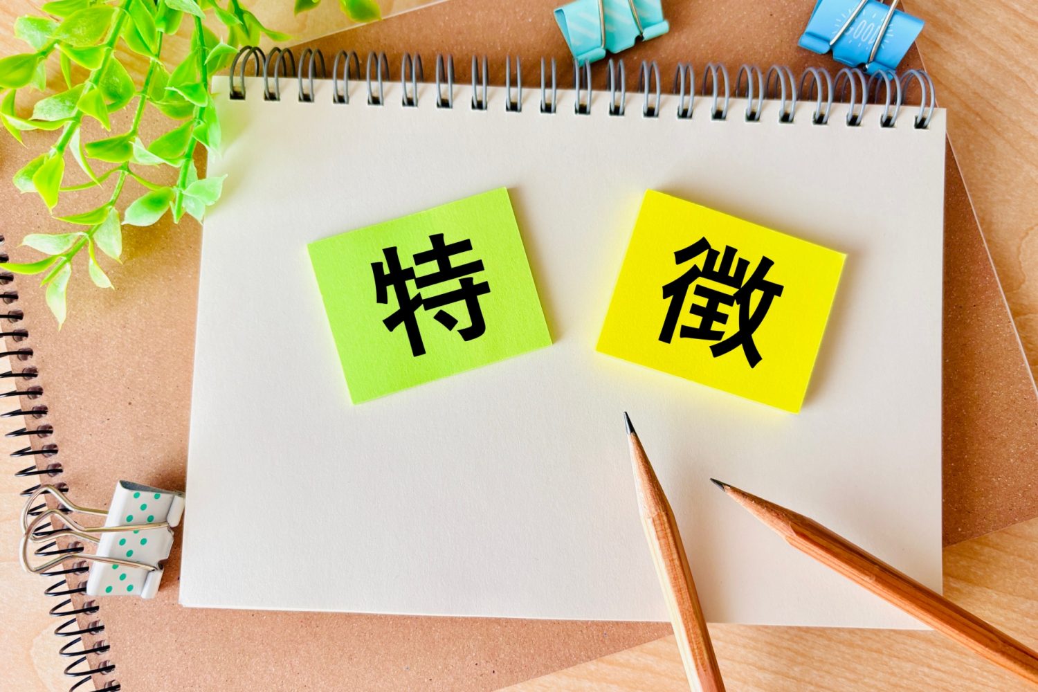 インプラント体の素材と特徴