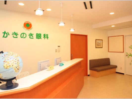 かきのき眼科