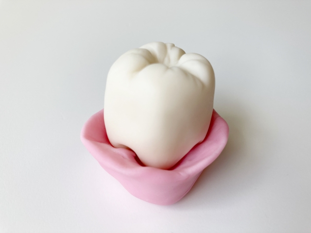 歯周ポケットの深さはどのくらいが正常？回復させる方法はある？