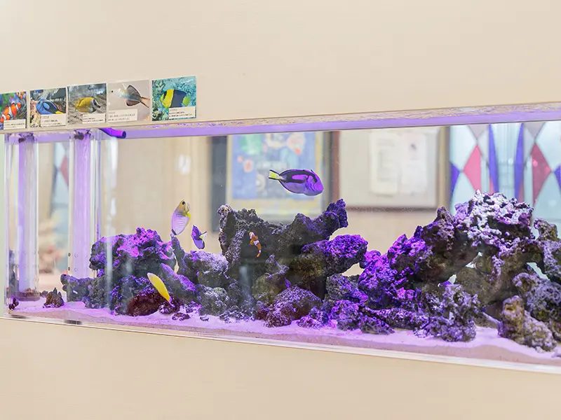 かしわざき産婦人科photo