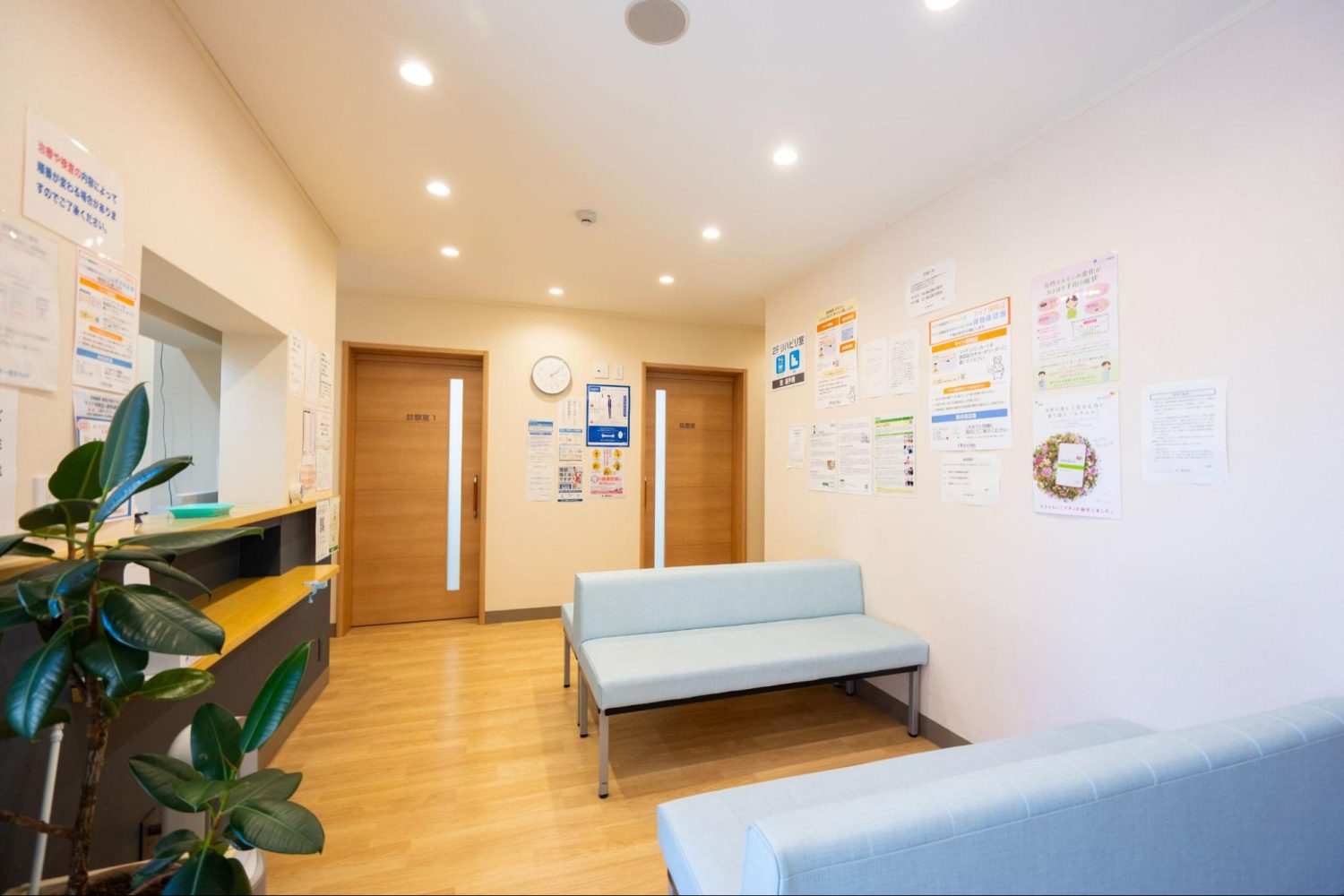 第一整形外科photo