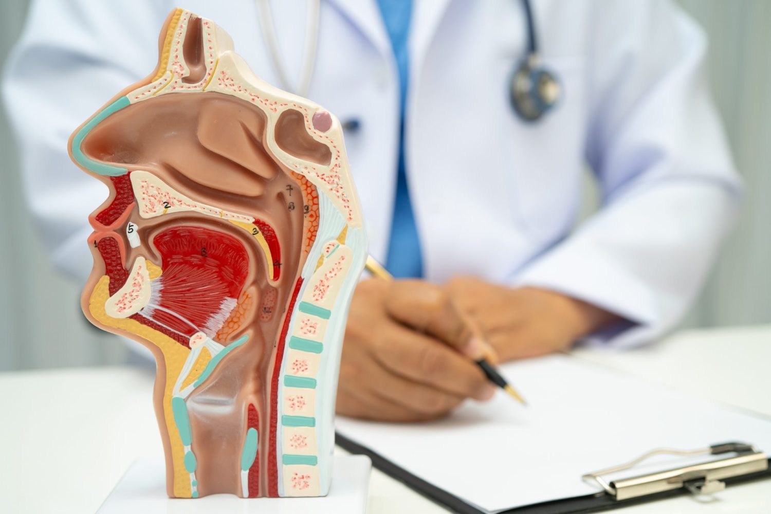アトピー咳嗽の咳が続く理由